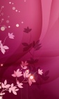 pink, flower wallpaper
